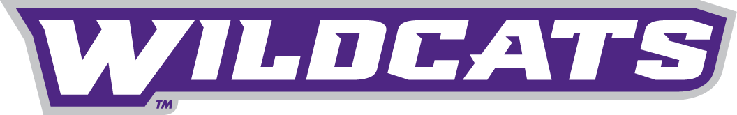abilene christian wildcats 2013-pres wordmark logo diy iron on heat transfer